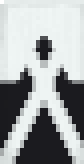 Munic's banner